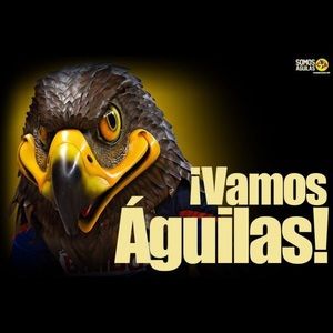 Meet your Posher, Oscar